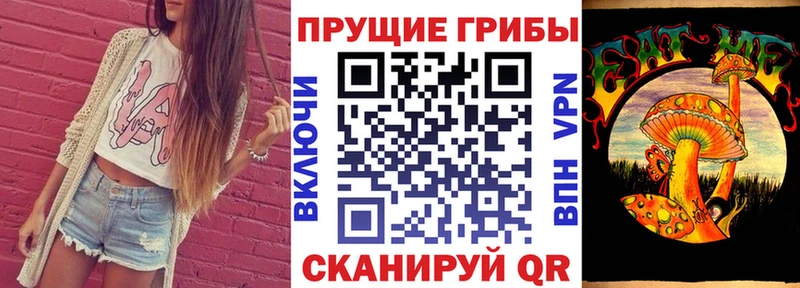 Купить где  Белоозёрский  Псилоцибиновые грибы мухоморы 